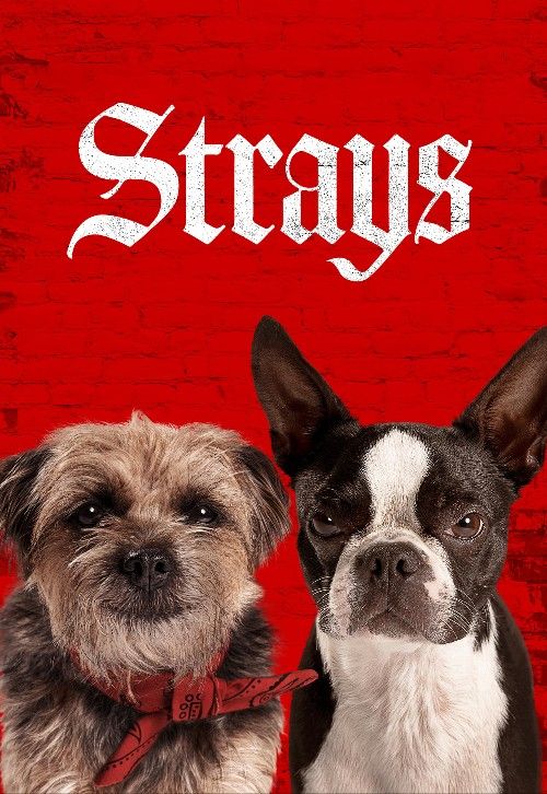 Strays (2023) Hindi Dubbed (ORG) Movie download full movie